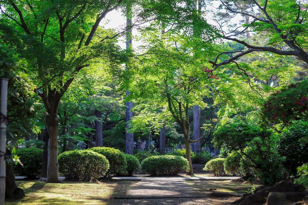 Professional and experienced Gardener